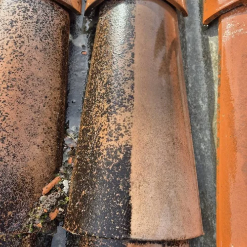 Nettoyage toiture tuiles